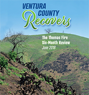 VC Recovers - English