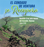 VC Recovers - Spanish