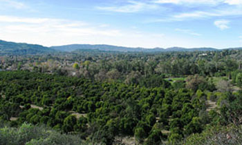 Ojai Valley Trail